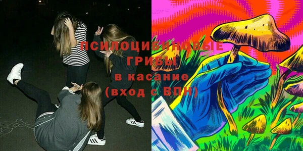индика Белокуриха