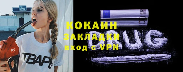 индика Белокуриха