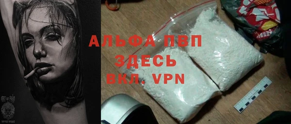 индика Белокуриха