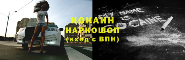 индика Белокуриха