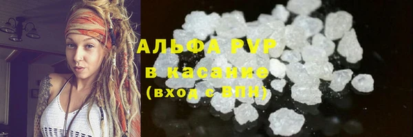 индика Белокуриха