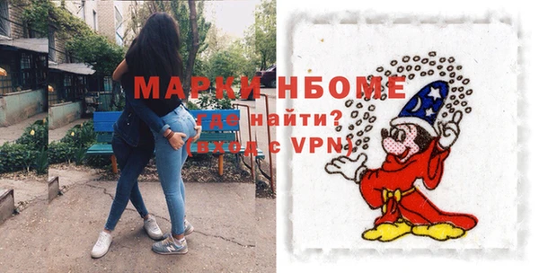 индика Белокуриха