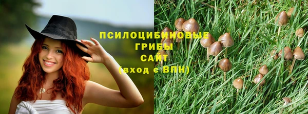 apvp Беломорск