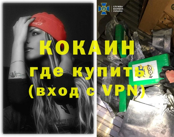 индика Белокуриха
