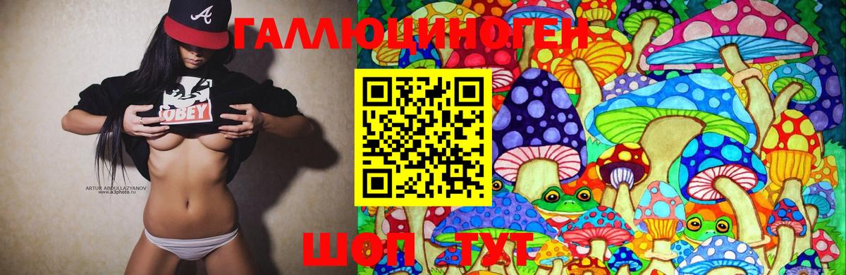 Галлюциногенные грибы Cubensis Гай